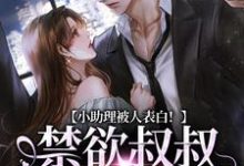 完结版《小助理被人表白!禁欲叔叔坐不住了》章节阅读-美文小说