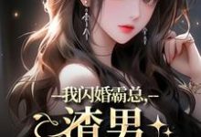 我闪婚霸总,渣男他不干了叶萱小说完结版章节在线阅读-美文小说