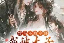 寻找能够免费阅读竹马不敌空降,我被太子宠上天小说的平台-美文小说