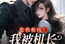 完结版《危机航线!我被机长夺心了》免费阅读-美文小说