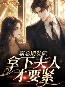霸总别发疯，拿下夫人才要紧小说无弹窗阅读的网站推荐