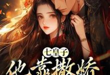 七皇子他靠撒娇博我欢心小说有没有完整的免费版本在线阅读?-美文小说