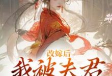 小说《改嫁后,我被夫君硬宠上天》章节阅读-美文小说