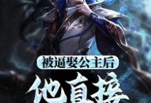 被逼娶公主后,他直接坐了皇位小说完结版章节免费阅读-美文小说