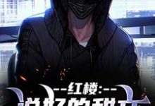 红楼:说好的甜文咋变恐怖文了小说的免费阅读版本在哪里可以找到?-美文小说