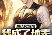 系统觉醒后,我成了地表最强龙傲天江南孟清秋小说在线章节免费阅读-美文小说