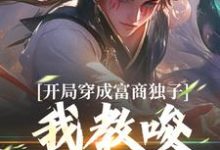 寻找能够免费阅读开局穿成富商独子,我教唆老爹造反小说的平台-美文小说