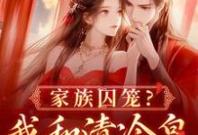 家族囚笼?我和清冷皇子夜夜笙歌小说的无弹窗阅读体验,寻找免费阅读网站-美文小说