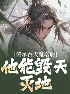 陈凡叶红莲小说叫什么（传承吞天魔塔后，他能毁天灭地！免费阅读）