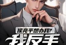 哪里能找到侯亮平想办我?我反手举报他!小说的全部章节?-美文小说