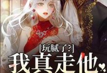 玩腻了？我真走他又不高兴阮柠贺宴川小说在线章节免费阅读-美文小说