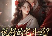 说好的宅斗呢？你独宠我干嘛这本小说在哪里可以看？哪里有免费试读章节？-美文小说