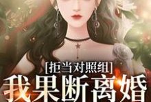 哪里能找到拒当对照组,我果断离婚逃离渣夫小说的最新更新和免费章节?-美文小说