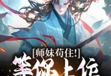 小说《师妹苟住！等你上位我就爽了》章节阅读-美文小说
