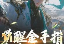 寻找能够免费阅读觉醒金手指,我要做人皇小说的平台-美文小说