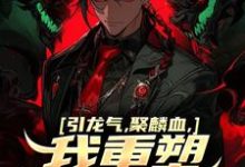 引龙气，聚麟血，我重塑天灵血脉这本小说在哪里可以看？哪里有免费试读章节？-美文小说