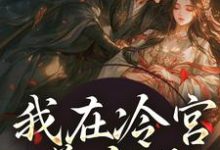 我在冷宫养皇子山栀司怀铮，我在冷宫养皇子章节在线阅读-美文小说