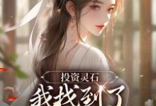 李川小说投资灵石,我找到了结道侣的捷径章节免费阅读-美文小说