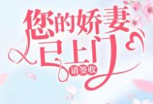 小说《您的娇妻已上门,请签收》章节免费阅读-美文小说