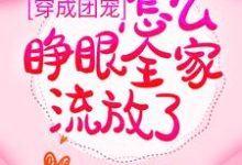 小说《穿成团宠,怎么睁眼全家流放了?》章节免费阅读-美文小说