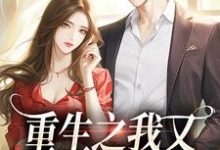 小说《重生之我又又又被强宠了》章节阅读-美文小说
