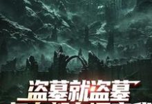 求盗墓就盗墓,怎么都在调查我小说的全文免费阅读链接-美文小说