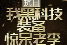 完结版《抗日：我黑科技装备惊呆老李》章节阅读-美文小说