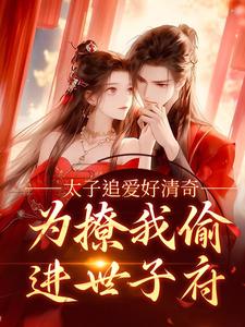 已完结小说《太子追爱好清奇，为撩我偷进世子府》章节在线阅读
