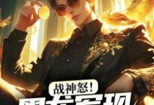 战神怒!黑龙军现,权贵拜服小说有没有完结版在线?-美文小说