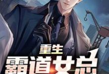 小说《重生：霸道女总狠狠爱》章节免费阅读-美文小说