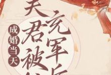 成婚当天，夫君被抓充军后免费阅读，成婚当天，夫君被抓充军后章节目录-美文小说