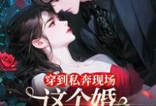 穿到私奔现场,这个婚离不了一点黎夏顾卫城,穿到私奔现场,这个婚离不了一点最新章节-美文小说