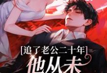 《追了老公二十年,他从未认真对待我》小说大结局免费试读 宋昔陆宴洲小说-美文小说