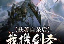 完结版《扶苏自杀后,我携剑圣进宫杀贪官》免费阅读-美文小说