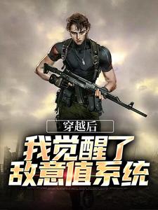 穿越后，我觉醒了敌意值系统江琦小说免费阅读