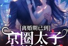 在线寻找离婚期已到!京圈太子卑微求爱小说的无删减版本-美文小说