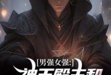 求男强女强:神王殿主和女特工闪婚了小说免费资源-美文小说