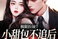 极限拉扯!小甜包不追后男神他慌了小说最新更新在哪里?免费在线看-美文小说