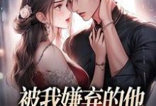 小说《被我嫌弃的他,竟成了我的港湾》章节免费阅读-美文小说