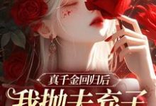 小说《真千金回归后,我抛夫弃子独自美丽》章节阅读-美文小说