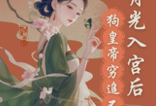 《宫斗?这皇帝根本不让我玩》全集免费在线阅读(苏绮宁君御珩)-美文小说