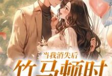 已完结小说《当我消失后,竹马顿时衰神附体》章节免费阅读-美文小说