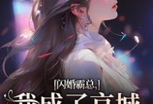 哪里能找到闪婚霸总,我成了京城千亿宠儿小说的全部章节?-美文小说