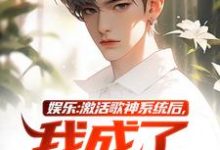 娱乐：激活歌神系统后，我成了顶流免费阅读，娱乐：激活歌神系统后，我成了顶流唐轩-美文小说