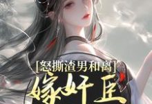 《怒撕渣男和离,嫁奸臣高攀不起》全集免费在线阅读(沈蕴之宋窈窈)-美文小说