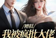 莫妗笙凌寅燊小说糟糕，我被疯批大佬缠上了！在线阅读章节-美文小说