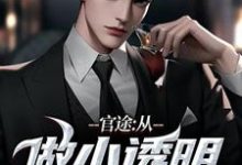 在线免费阅读官途：从做小透明开始完整小说-美文小说