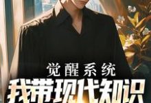 觉醒系统，我带现代知识到赤红年代小说全文哪里可以免费看？-美文小说