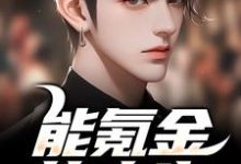 小说《能氪金的人生,谁还肝啊》在线章节阅读-美文小说