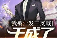 已完结小说《我被一发三叉戟,干成了祁同伟!》在线章节阅读-美文小说